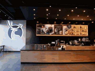 סדרת קייטרינג